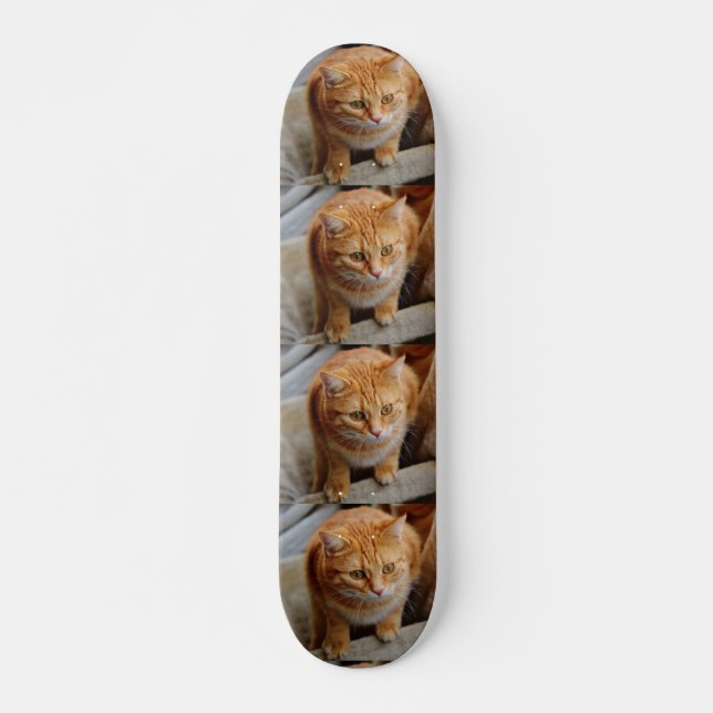 Skate Pet Dog Cat Photo Custom Tiled Template (Frente)