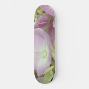 Skate Pétalas de Hydrangea, Cor-de-Rosa, Branca Antiqua