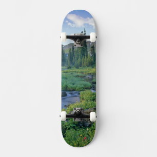 Skate Picnic Creek na Jewel Basin de Swan