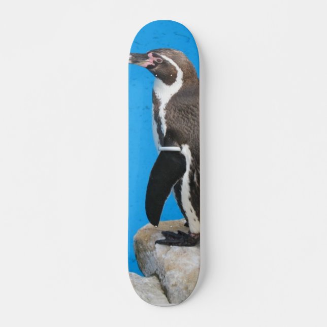 Skate Pinguim no parque de Harewood (Frente)