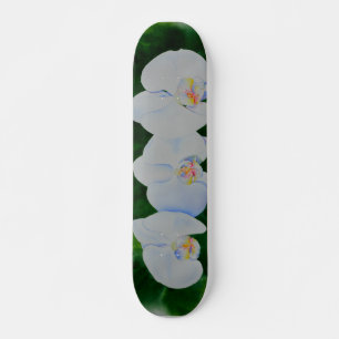 Skate Pintura de orquídea branca Elegante tropical
