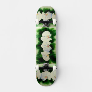 Skate Pintura de orquídea branca Elegante tropical