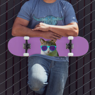 SKATE PLACAS-ESQUADRAS PARA VESTIR GATOS