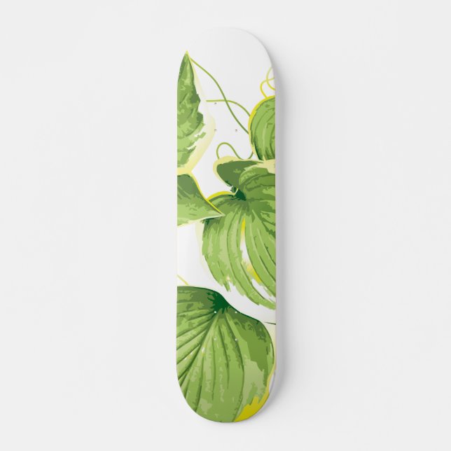 Skate Planta Ficus (Frente)