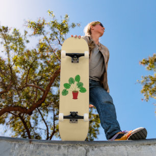 Skate Planta Monstera do Dia das Mães