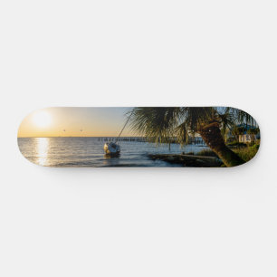 Skate Plantador Sunset da Árvore de Palma da Flórida