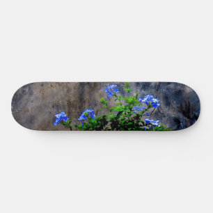 Skate Plumbago azul