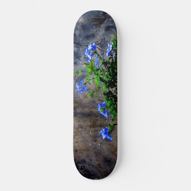 Skate Plumbago azul (Frente)