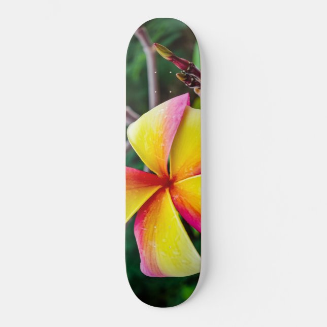 Skate Plumeria rubra (Frente)