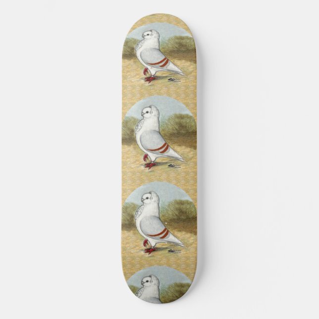 Skate Pombo De Coruja Alemã Na Ronda (Frente)