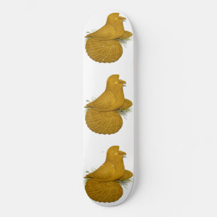 Skate Pombo Trombeteiro Amarelo Auto