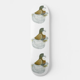 Skate Pombo Trombeteiro AOC Calvo
