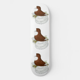 Skate Pombo Trombeteiro Cabeça Vermelha Careca