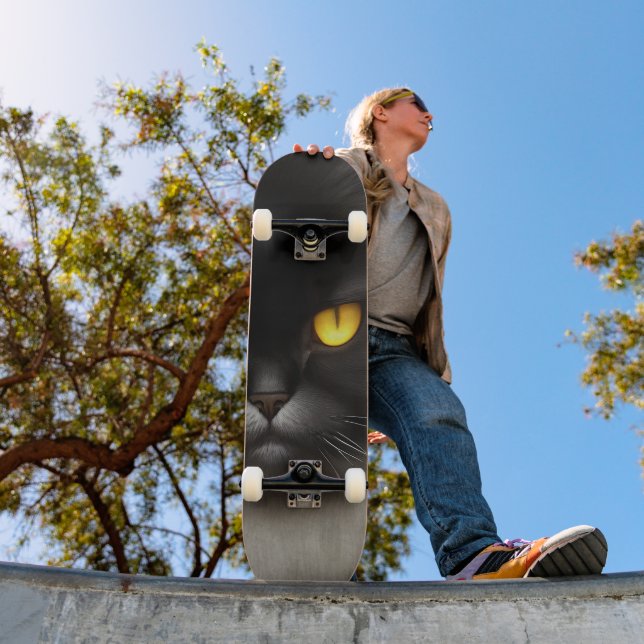 Skate Portrait of Angry Fluffy Black Persian Cat Face (Ao ar livre 1)