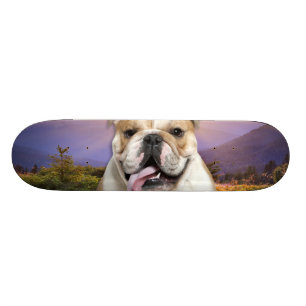 Skate Prado do buldogue