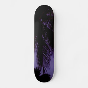 Skate Praia sul Miami