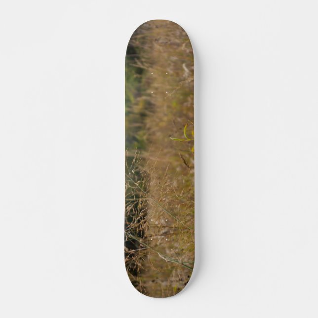 Skate Prairie Supercultivada (Frente)
