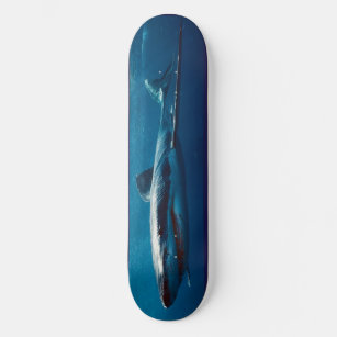 Skate Predador de Tubarão Azul de skate.