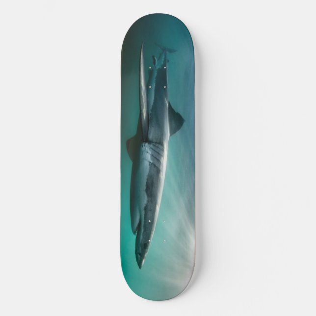 Skate Predador faminto de Shark de skate. (Frente)