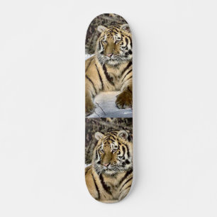 Skate Presentes de Arte Tiger Amantes