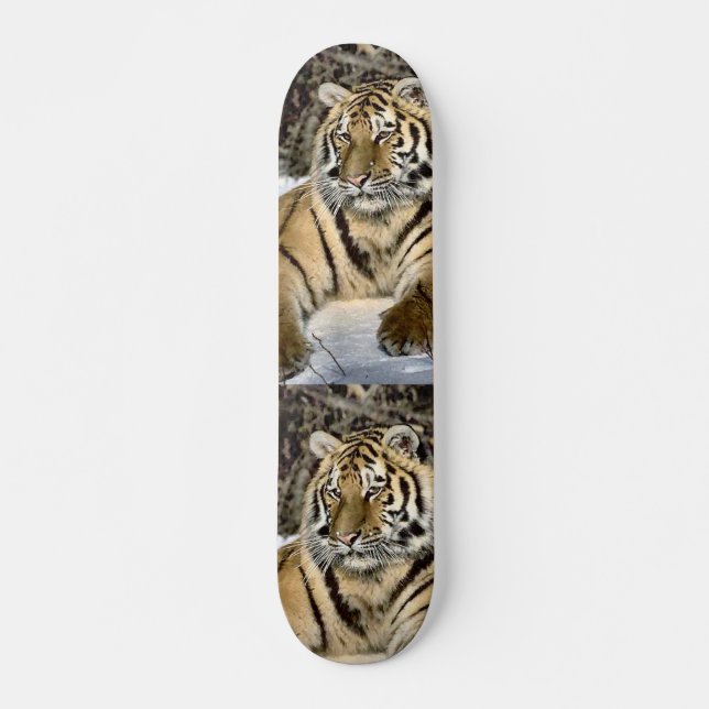 Skate Presentes de Arte Tiger Amantes (Frente)