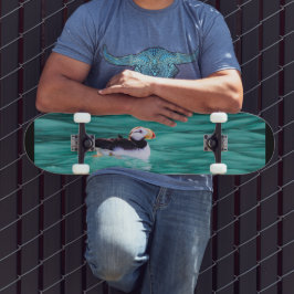 Skate Puffin In Resurrection Bay, Alaska