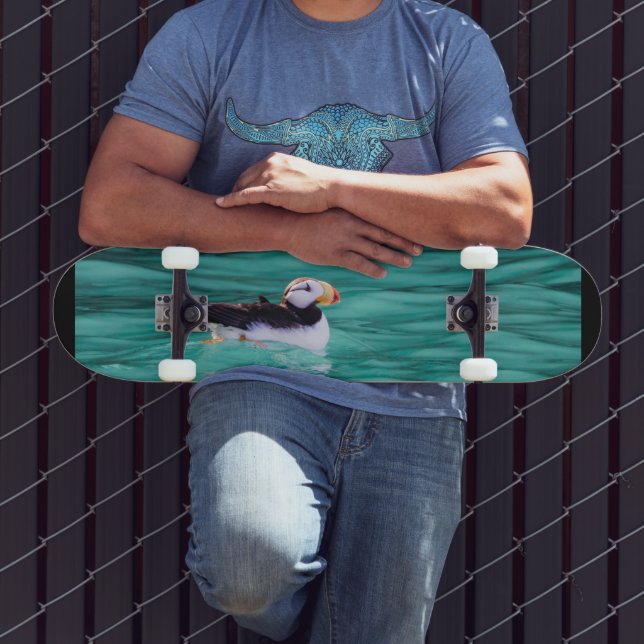 Skate Puffin In Resurrection Bay, Alaska (Ao ar livre 3)