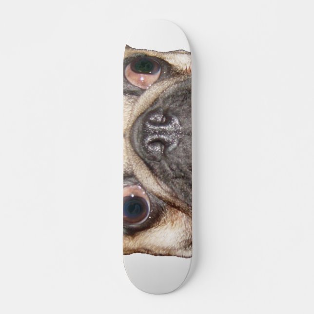 Skate Pug (Frente)