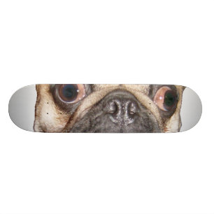 Skate Pug