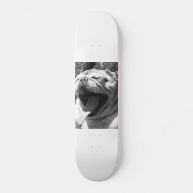 Skate Pug do lagarto (Frente)