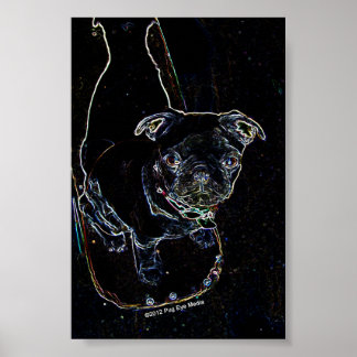 Skate Pug Poster