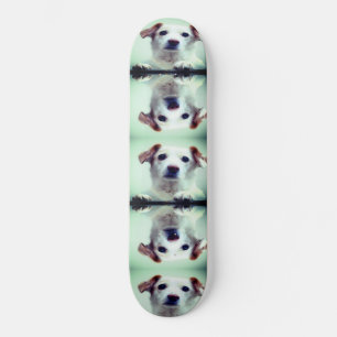 Skate Puppy