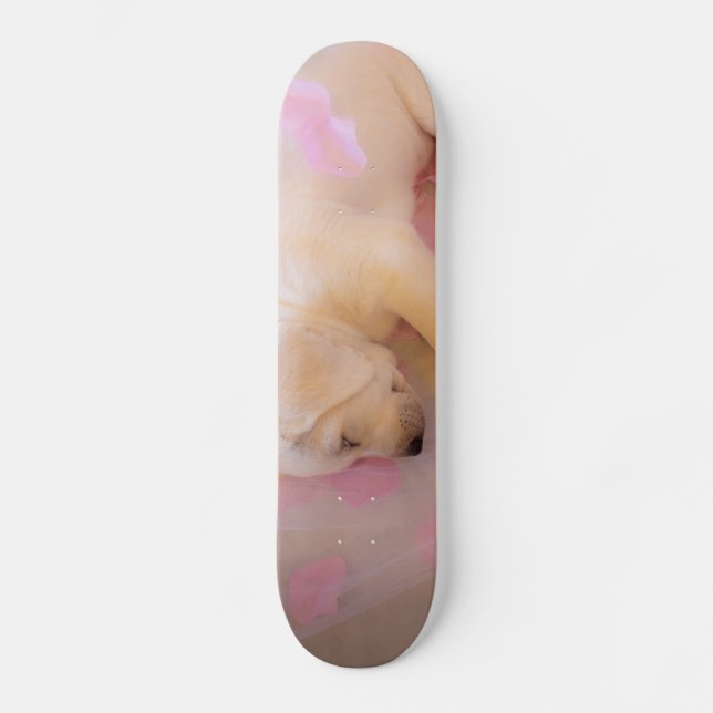 Skate Puppy Sleepy Veil 01 (Frente)