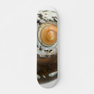 Skate Quadro de bordo