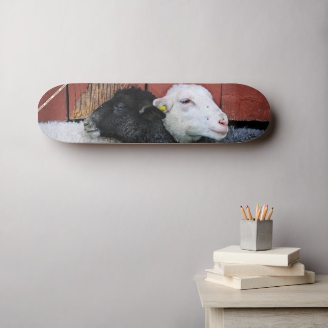 Skate Quadro de bordo branco de ovelha preto HAMbWG (Arte de parede (Horz))