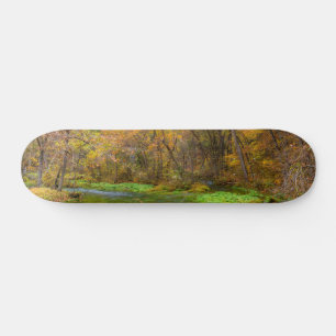 Skate Quadro de Primavera de outono de água