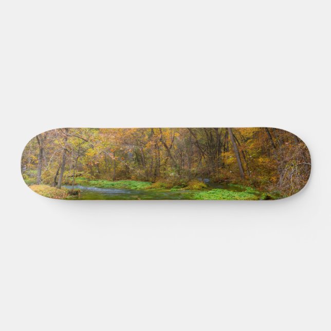 Skate Quadro de Primavera de outono de água (Horz)