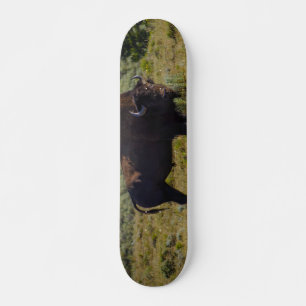 Skate Quem Você Está Olhando
