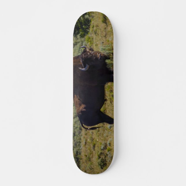 Skate Quem Você Está Olhando (Frente)