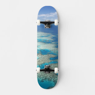 Skate Recife Língua, Parque Marinho da Grande Barreira d