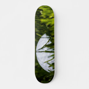 Skate remix de bola de golfe escondida