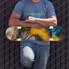 Skate Retrato de arara azul e amarela