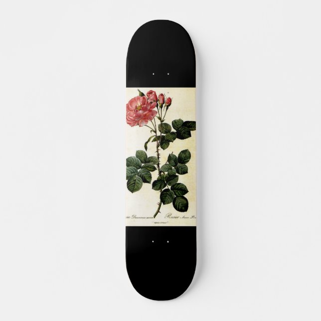 Skate Rosa floral Pierre Joseph Redouté (Frente)
