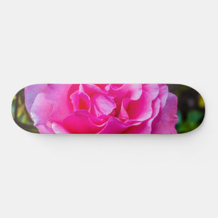 Skate Rosa rosa delicada.