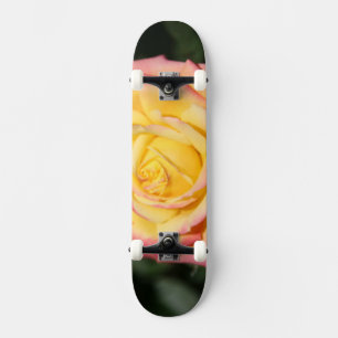 Skate Rosa rosa-rosa-rosa-quente