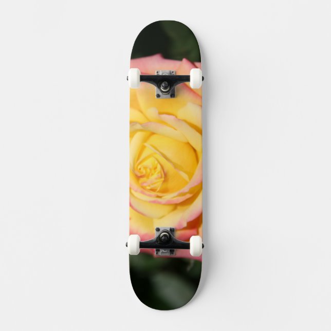 Skate Rosa rosa-rosa-rosa-quente (Frente)