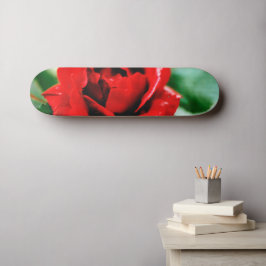 Skate Rosa vermelha Love