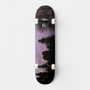 skate Roxo