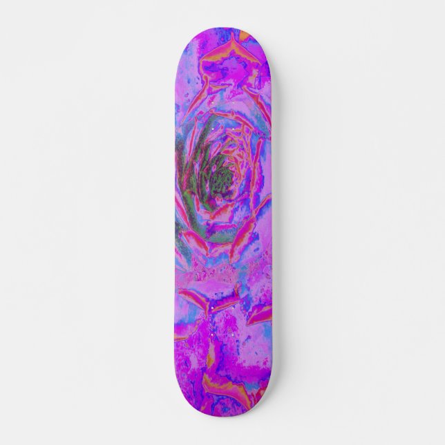 Skate Roxo e Magenta Suculenta Sedum Roseta (Frente)