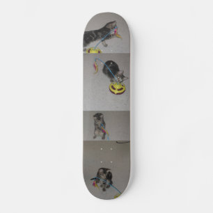 SKATE SASHA